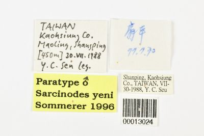 顏氏沙尺蛾 Sarcinodes yeni