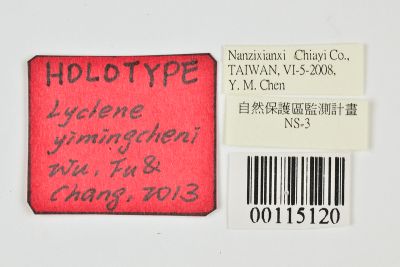 粗條斑深山豔苔蛾 Miltochrista yimingcheni