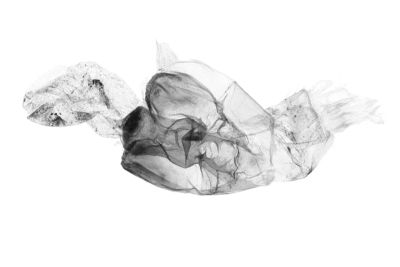 廣櫛裳蛾 Adrapsa ablualis 雌蟲