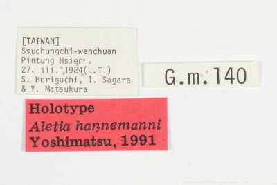 炙秘夜蛾 Aletia hannemanni