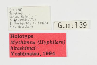 Mythimna hirashimai